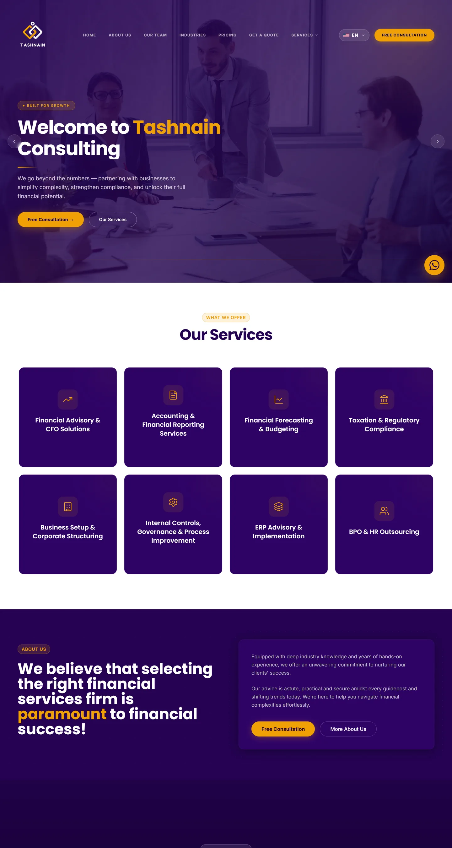 Tashnain Consulting website, desktop